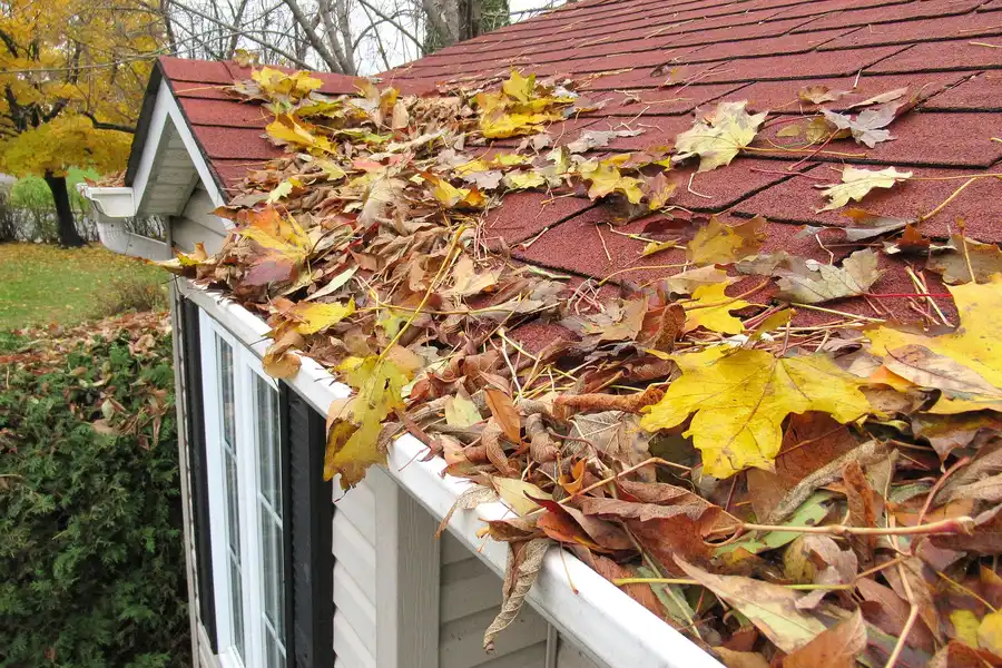 Roof Cleaning